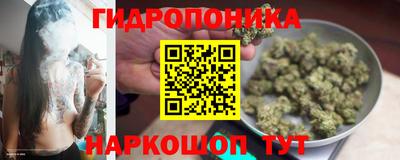 не бодяженный Новозыбков